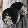 Lunar Luxe – Planet-Inspired Nordic Plate